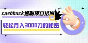 (7765期)cashback返利项目培训:轻松月入3000刀的秘密(8节课)-优优云创网