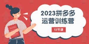 (7805期)2023拼多多运营训练营:流量底层逻辑,免费+付费流量玩法(12节课)-优优云创网