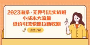 (7818期)2023淘系·无界引流实战班:小成本大流量,低价引流快速拉新收割-优优云创网