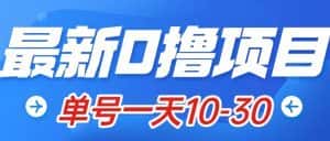 (7867期)最新0撸小项目:星际公民,单账号一天10-30,可批量操作-优优云创网