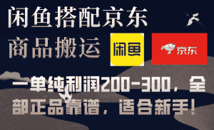 (7892期)闲鱼搭配京东备份库搬运,一单纯利润200-300,全部正品靠谱,适合新手!-优优云创网