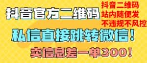 （7907期）价值3000的技术！抖音二维码直跳微信！站内无限发不违规！-优优云创网