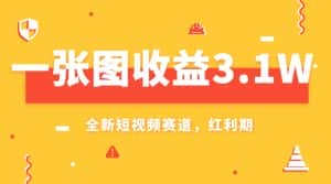 （7911期）一张图收益3.1w，AI赛道新风口，小白无脑操作轻松上手-优优云创网