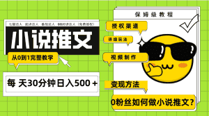（7912期）Ai小说推文每天20分钟日入500＋授权渠道 引流变现 从0到1完整教学（7节课）-优优云创网