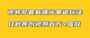 （7917期）视频号最新爆火赛道玩法，几秒视频可达百万播放，小白即可操作（附素材）-优优云创网