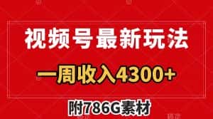 (7969期)视频号最新玩法 广告收益翻倍 几分钟一个作品 一周变现4300+(附786G素材)-优优云创网