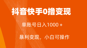 （7993期）全网首发，单账号收益日入1000＋，简单粗暴，保底5元一单，可批量单操作-优优云创网