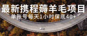 (7995期)最新携程薅羊毛项目,单账号每天1小时保底收益40+,可矩阵操作-优优云创网