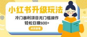 (8014期)小红书升级玩法,冷门暴利项目无门槛操作,轻松日赚500+-优优云创网