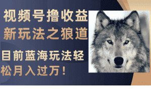 (8042期)视频号撸收益新玩法之狼道,目前蓝海玩法轻松月入过万!-优优云创网