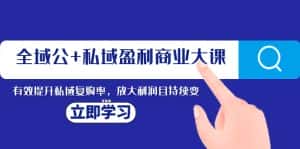 (8045期)全域公+私域盈利商业大课,有效提升私域复购率,放大利润且持续变现-优优云创网