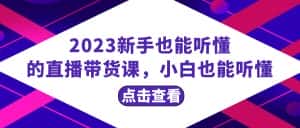 (8046期)2023新手也能听懂的直播带货课,小白也能听懂,20节完整-优优云创网