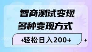（8049期）智商测试变现，轻松日入200+，几分钟一个视频，多种变现方式（附780G素材）-优优云创网