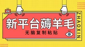 （8056期）新平台撸收益，无脑复制粘贴，1万阅读100块，可多号矩阵操作-优优云创网