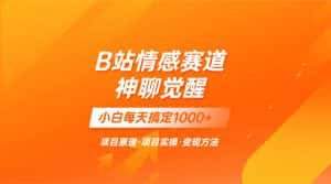 （8057期）蓝海项目，B站情感赛道——教聊天技巧，小白都能一天搞定1000+-优优云创网