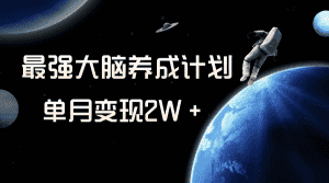 (8078期)冷门虚拟项目,最强大脑养成计划,一个月变现2W+-优优云创网