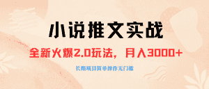 (8084期 )外面收费990的小说推广软件,零粉丝可变现,月入3000+,小白当天即上手-优优云创网