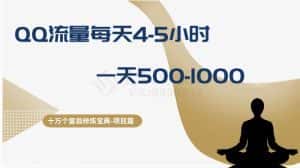 (8160期)十万个富翁修炼宝典之1.QQ流量每天4-5小时,一天500-1000-优优云创网