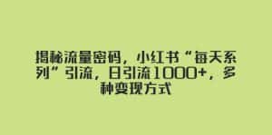 （8179期）揭秘流量密码，小红书“每天系列”引流，日引流1000+，多种变现方式-优优云创网
