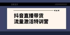 (8185期)抖音直播带货-流量激活特训营,入行新手小白主播必学(21节课+资料)-优优云创网