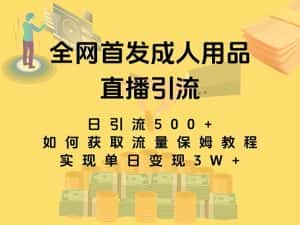（8193期）最新全网独创首发，成人用品直播引流获客暴力玩法，单日变现3w保姆级教程-优优云创网