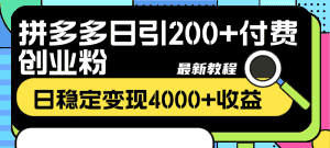 (8276期)拼多多日引200+付费创业粉,日稳定变现4000+收益最新教程-优优云创网