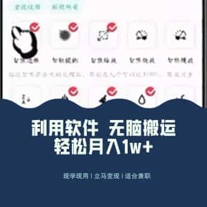 （8303期）最新蓝海独家玩法，利用软件无脑搬运，小白轻松日入1000＋-优优云创网
