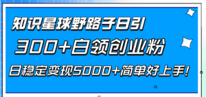 (8315期)知识星球野路子日引300+白领创业粉,日稳定变现5000+简单好上手!-优优云创网
