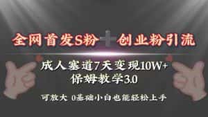（8337期）全网首发s粉加创业粉引流变现，成人用品赛道7天变现10w+保姆教学3.0-优优云创网