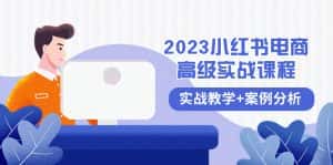 （8342期）2023小红书-电商高级实战课程，实战教学+案例分析（38节课）-优优云创网