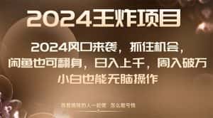 （8401期）2024风口项目来袭，抓住机会，闲鱼也可翻身，日入上千，周入破万，小白…-优优云创网