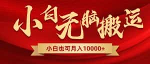 （8412期）无脑搬运视频，全新平台独占玩法，一个账号每天1000+，多账号轻松扩张！-优优云创网