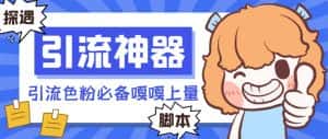 (8447期)【引流必备】探遇漂流瓶全自动引流脚本,引流色粉必备神器嘎嘎上量【引…-优优云创网