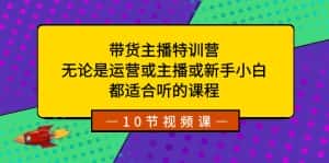(8464期)带货主播特训营:无论是运营或主播或新手小白,都适合听的课程-优优云创网