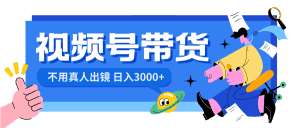 （8475期）视频号带货，日入3000+，不用真人出镜-优优云创网