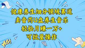 (8503期)健康养生细分领域赛道,卖音药U盘养生音乐,轻松月赚一万+,可批量操作-优优云创网