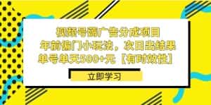(8527期)视频号薅广告分成项目,年前偏门小玩法,次日出结果,单号单天500+元【…-优优云创网