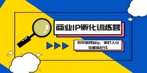 （8539期）商业IP-孵化训练营新版，教你做商业Ip，做好人设，流量搞好钱-优优云创网
