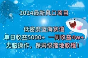 (8545期)2024最新风口项目 低密度蓝海赛道,日收益5000+周收益4w+ 无脑操作,保…-优优云创网
