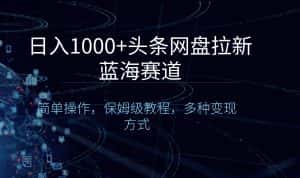 （8547期）日入1000+头条网盘拉新蓝海赛道，简单操作，保姆级教程，多种变现方式-优优云创网