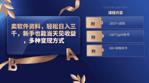 (8582期)卖软件资料,轻松日入三千,新手也能当天见收益,多种变现方式,(附300…-优优云创网
