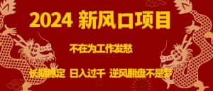 （8587期）2024新风口项目，不在为工作发愁，长期稳定，日入过千 逆风翻盘不是梦-优优云创网