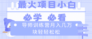 (8569期)导师训练营互联网最牛逼的项目没有之一,新手小白必学,月入2万+轻轻松松-优优云创网
