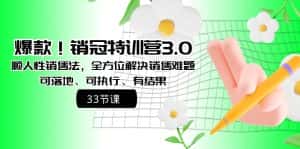 (8573期)爆款!销冠特训营3.0之顺人性销售法,全方位解决销售难题、可落地、可执…-优优云创网