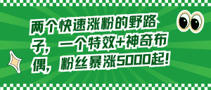 (8606期)两个快速涨粉的野路子,一个特效+神奇布偶,粉丝暴涨5000起!-优优云创网