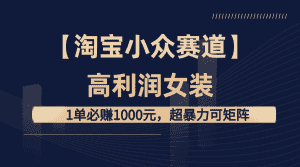 (8608期)【淘宝小众赛道】高利润女装:1单必赚1000元,超暴力可矩阵-优优云创网