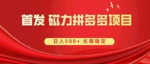 （8611期）首发 磁力拼多多自撸  日入500+-优优云创网