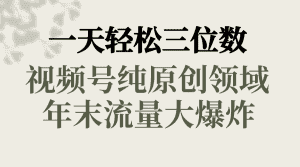 (8647期)一天轻松三位数,视频号纯原创领域,春节童子送祝福,年末流量大爆炸,-优优云创网