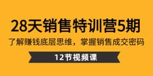 （8659期）28天·销售特训营5期：了解赚钱底层思维，掌握销售成交密码（12节课）-优优云创网