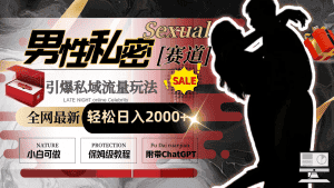 (8713期)全网最新男性私密赛道玩法,引爆私域流量,轻松日入2000+-优优云创网